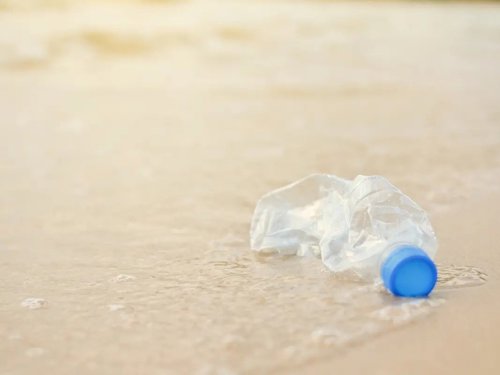 Source: https://patch.com/new-jersey/oceancity/help-clean-beach-ocean-city