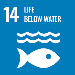 14 Life below water