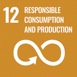 12 Responsible consumption and production