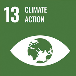 13 Climate action