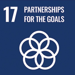 17 Partnerships for the goals