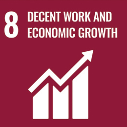 8 Decent work and economic growth